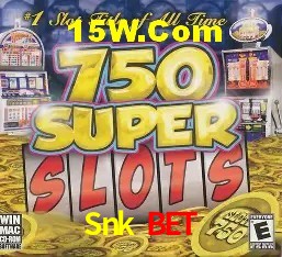 Jogos populares e pagamentos rápidos na Snk Bet
